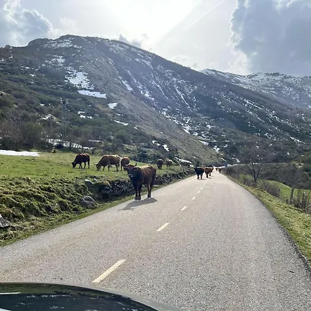 Hétvégi ház Cuatro Valles Naredo de Fenar